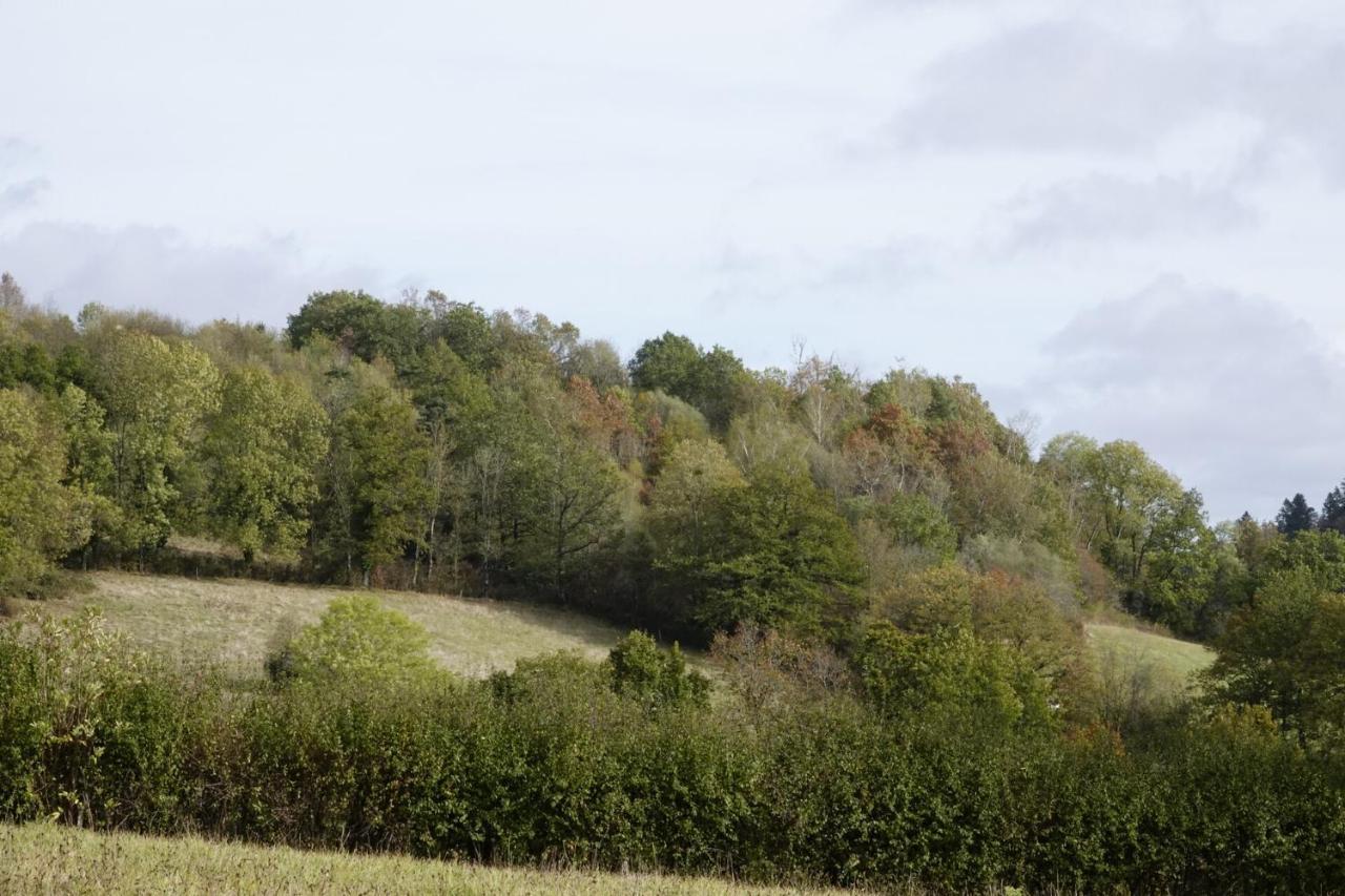 Appartamento Le Montaurier Combrailles Esterno foto